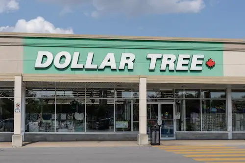 Dollar Tree راهنمای جامع برای تازه واردان در مورد فروشگاه 