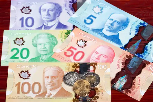 سکه ها و اسکناس های کانادایی را بشناسید