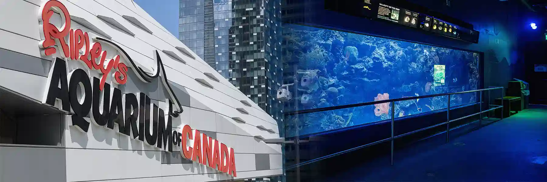 10 مورد از بهترین آکواریوم های کانادا