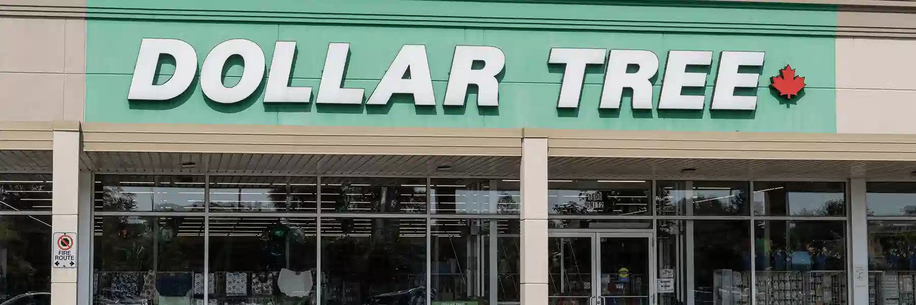 Dollar Tree راهنمای جامع برای تازه واردان در مورد فروشگاه 