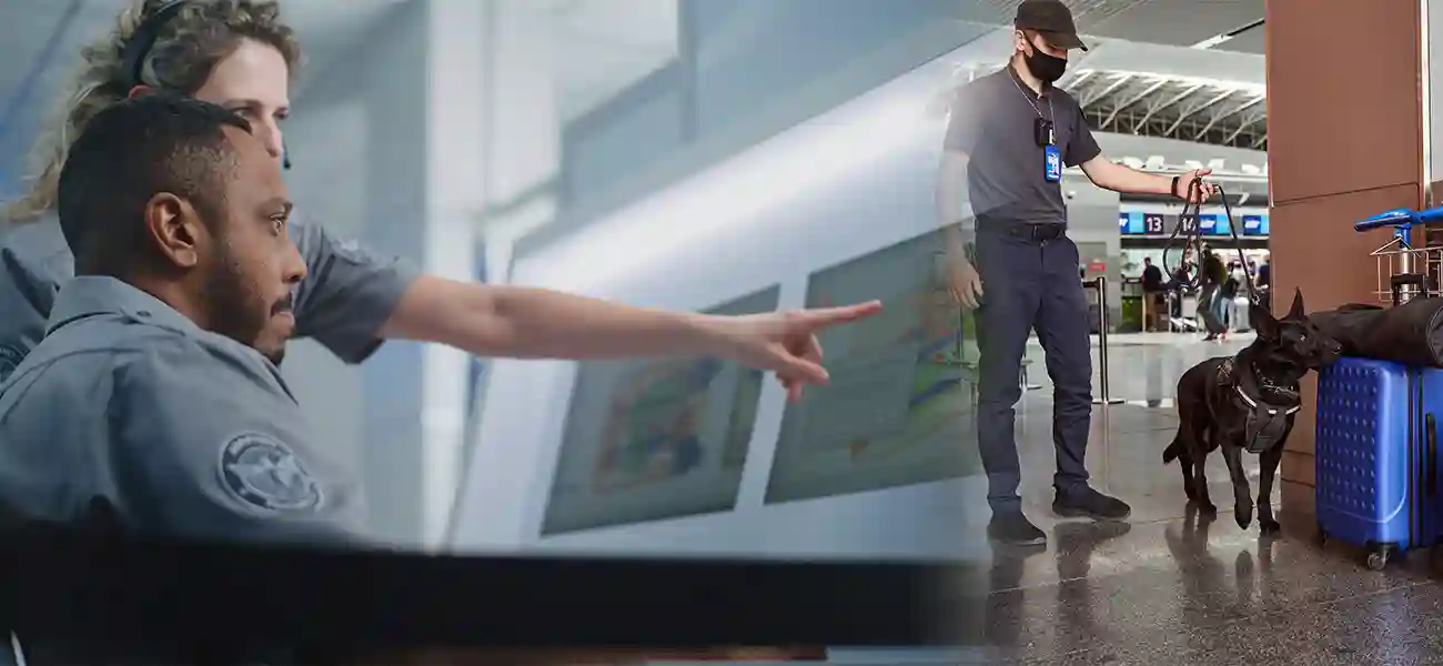 What are the types of food allowed to enter Canada?